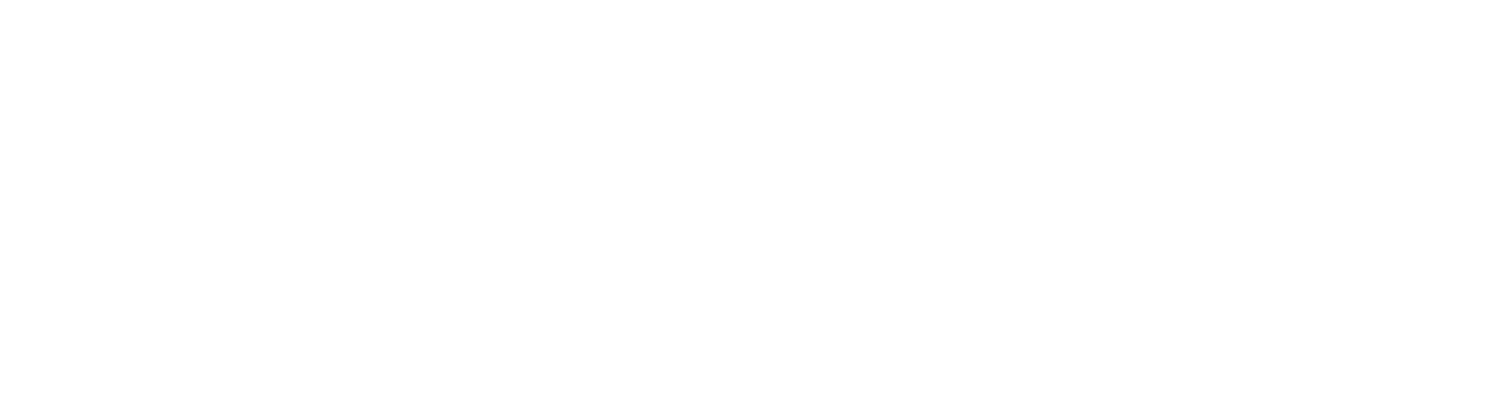 BAIDUDL